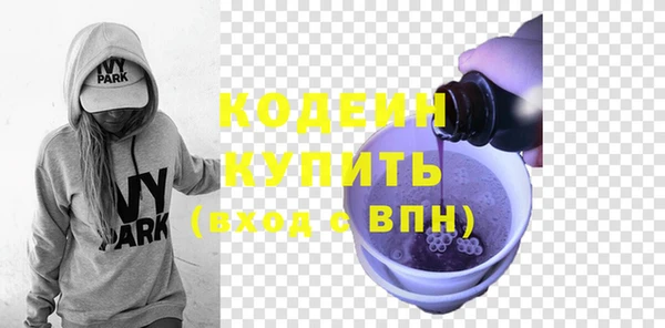 ГАЛЛЮЦИНОГЕННЫЕ ГРИБЫ Верея